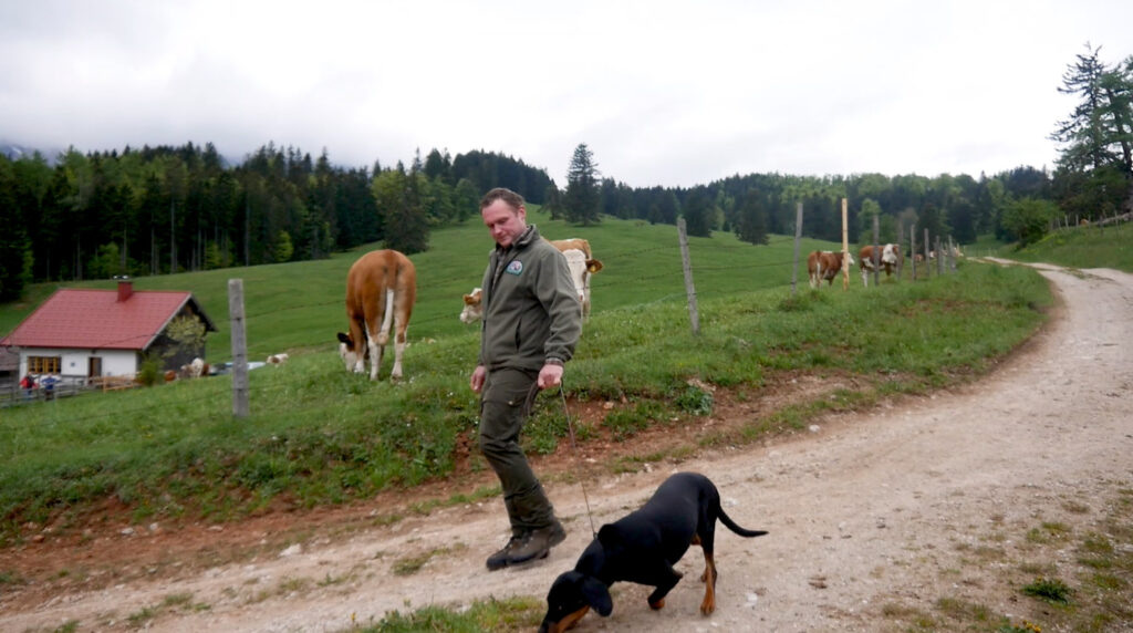 Wandern mit Hund an der Leine auf der Alm