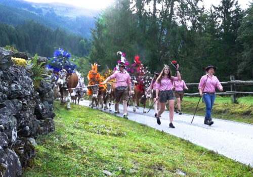  Arbeiten auf der Alm – unsere.almen 