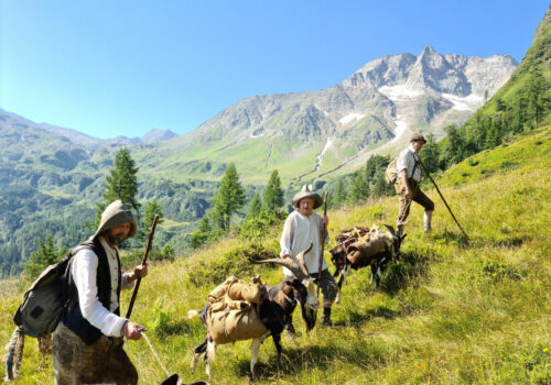  Arbeiten auf der Alm – unsere.almen 