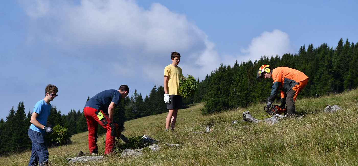 Almschwendtag Arbeiten auf der Alm Schwenden Tag der Almen in der Steiermark