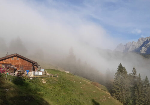 Bäuerliche Schmankerln von der 300 Jahre alten Brentenjochalm | Tirol