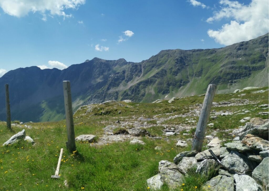 Zäunen in luftiger Höhe. Der "Einlass" auf der Sadnigalm, wo sich vor dem Übertrieb auf die Schoberalm Mensch und Vieh sammeln.