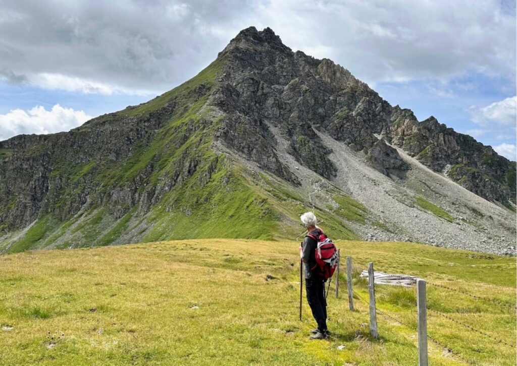 Hirte Werner Koroschitz auf der Schoberalm beim Grenzzaun zur Astener Alm (rechts vom Zaun). Im Hintergrund die Makernispitze.