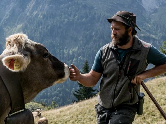 Literarische Almschmankerln: Nüüf – Ein Sommer auf einer abgeschiedenen Alpe