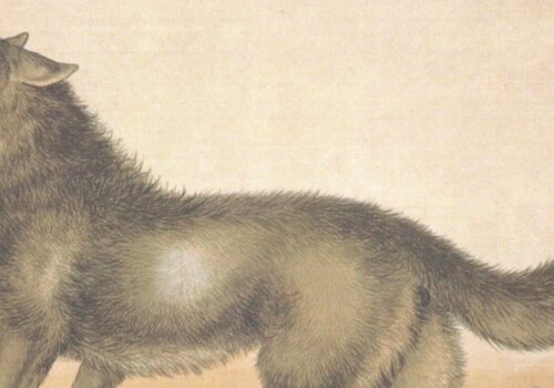 Literarische Almschmankerln: Der Wolf als Bauernschreck und Jagdobjekt