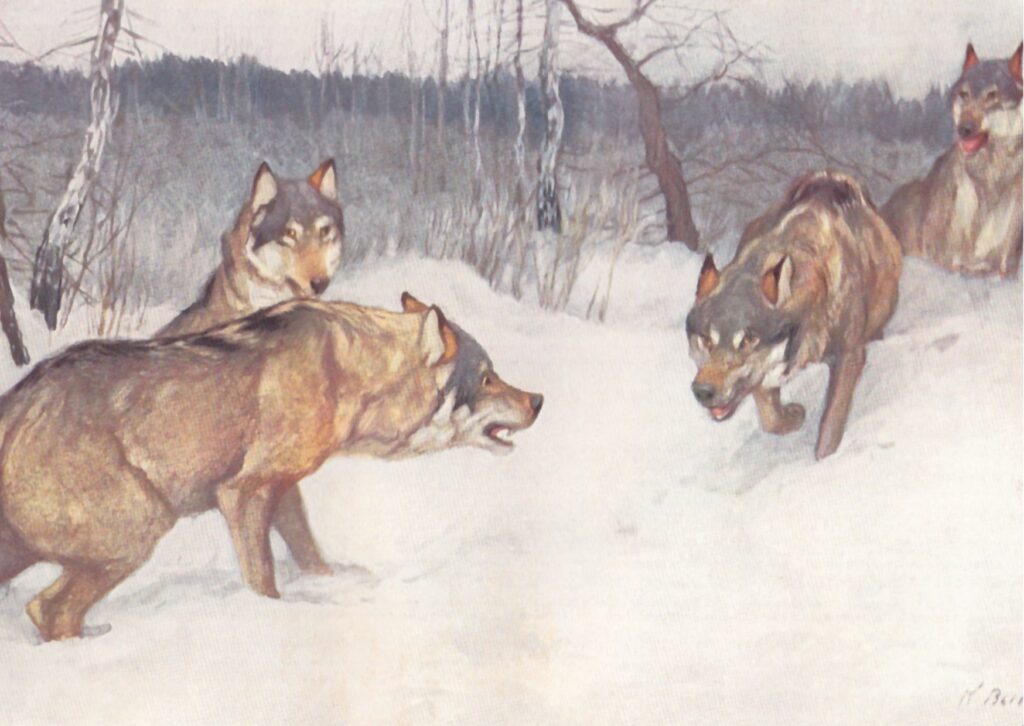 Zeichnung von Wölfen im Schnee