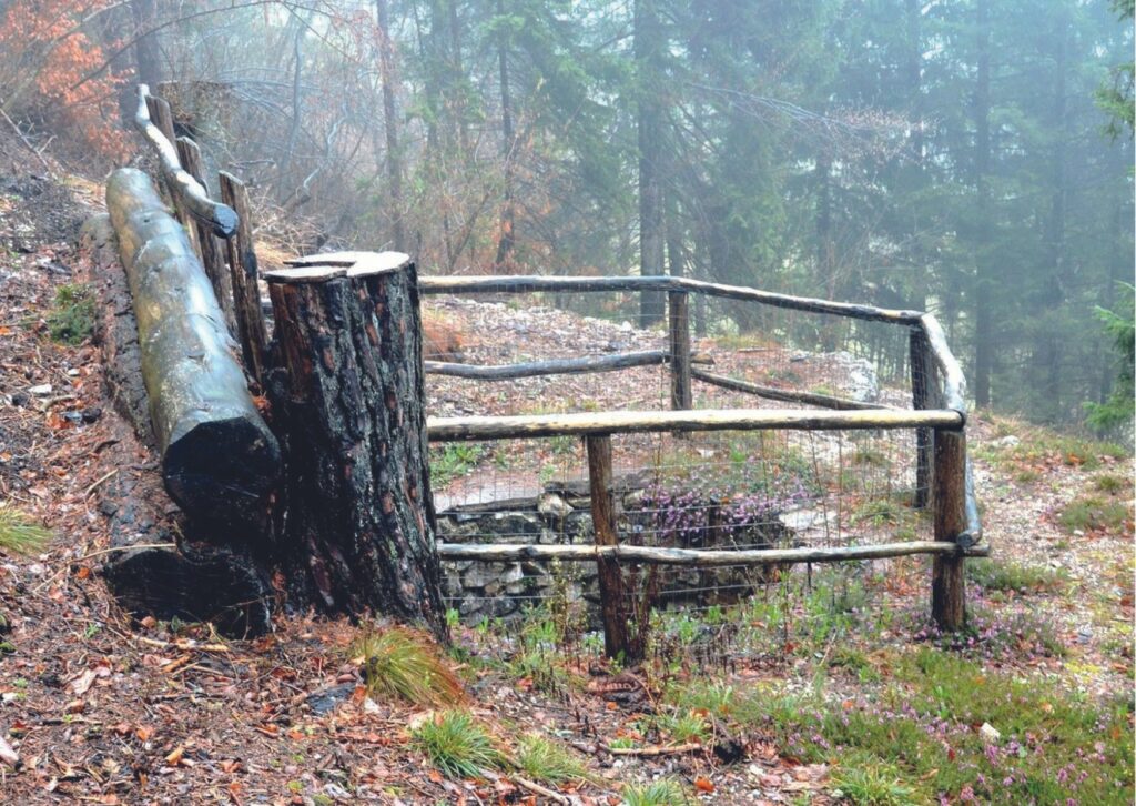 Wolfsgrube im Wald