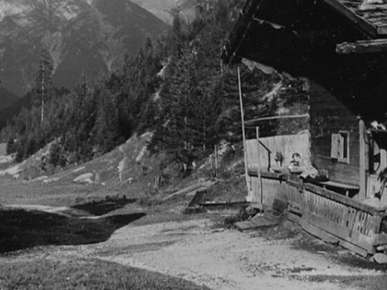 Wie Bergsteiger den Verfall der Almen im 19. Jahrhundert gesehen haben