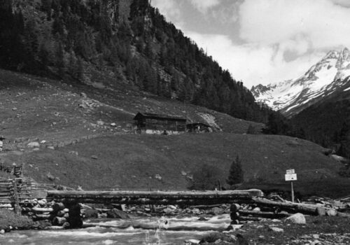 Was Almwirtschaft und Alpenverein verbindet