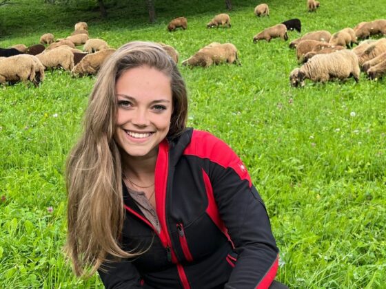 Wo der Sommer weiter oben wohnt – unsere Schafe auf der Alm