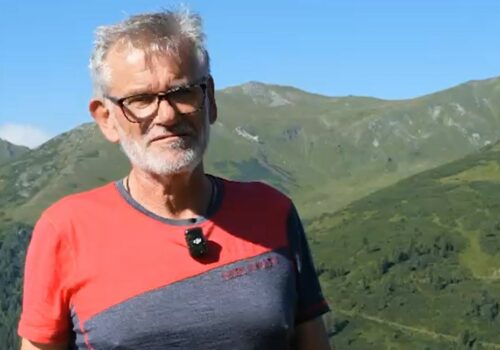 Schwenden und Zäunen auf der steirischen Wildalm mit Esel- statt Pferdestärke