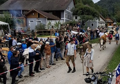Almsommerausklang mit dem 12. Steinbacher Almabtrieb
