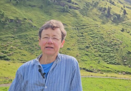 Ziegen auf der Alm sind wunderbare Tiere …