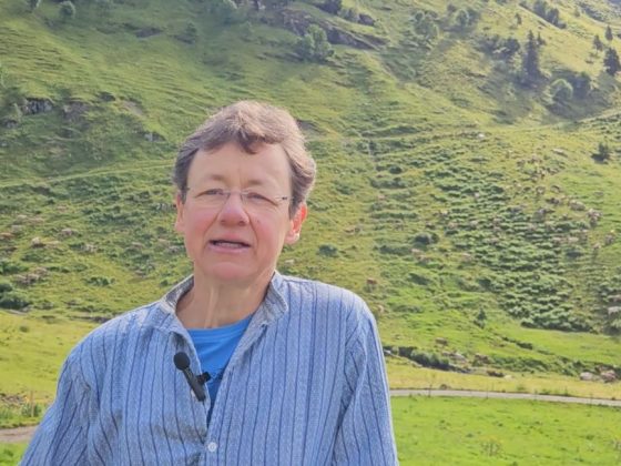 Ziegen auf der Alm sind wunderbare Tiere …