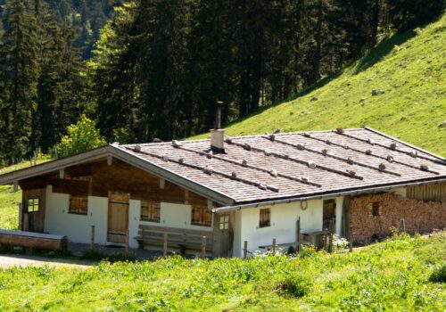 Make the Alm Great again: Bauen auf der Alm
