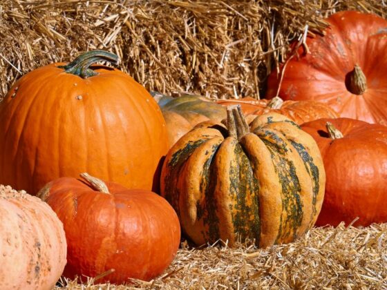 Von Hexen, Feuern und Geistern – Zwischen Walpurgisnacht und Allerseelen