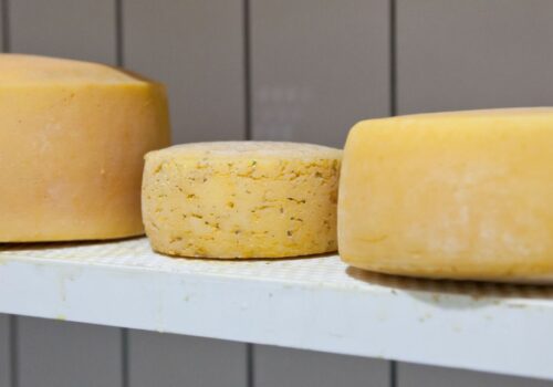 Käse, Käse, Käse – ein kleiner Guide durch die Welt des Geschmacks