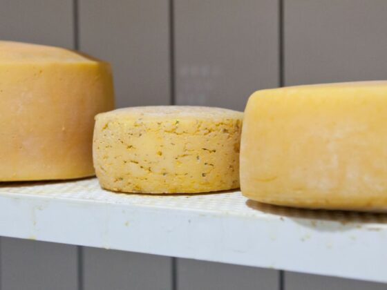 Käse, Käse, Käse – ein kleiner Guide durch die Welt des Geschmacks