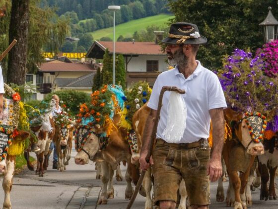 Almabtriebe 2025 in Bildern