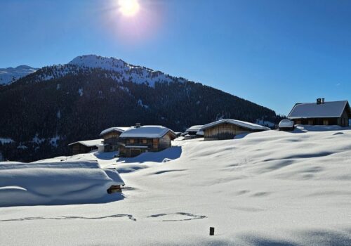 Wenn die Alm schläft – arbeiten die Almleute: winterliche Vorbereitungen für einen starken Almsommer.