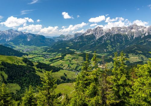 ALM:KULTUR in Saalfelden Leogang