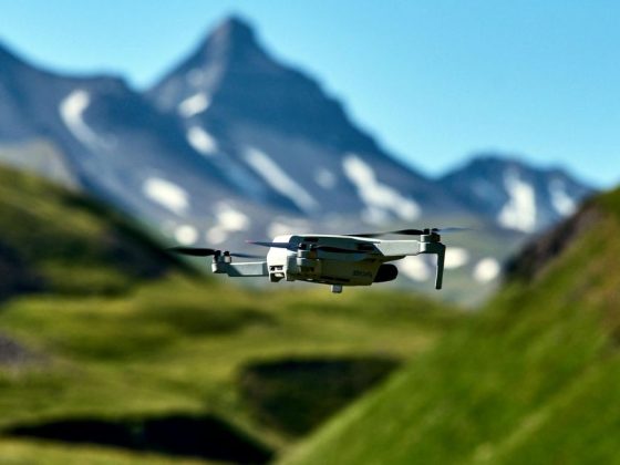 Digitale Helfer: Wie neue Technologien die Arbeit auf der Alm erleichtern