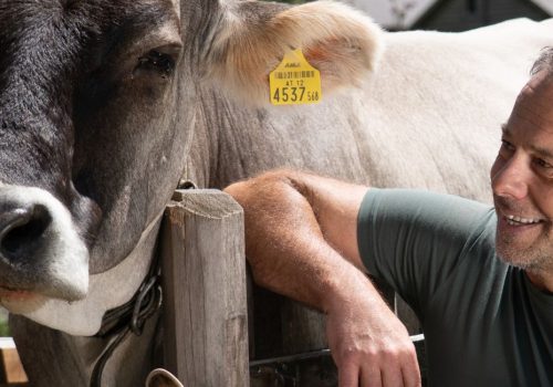 Digitale Hilfsmittel auf der Alm