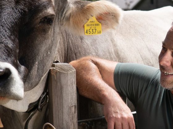 Digitale Hilfsmittel auf der Alm