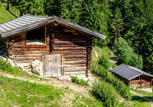 Warum die Almwirtschaft für unsere Regionen unverzichtbar ist