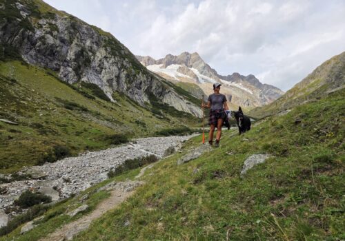 Der Alp-Traum der Andrea O. …